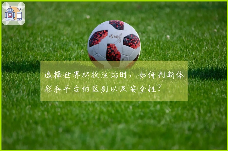 选择世界杯投注站时，如何判断体彩和平台的区别以及安全性？