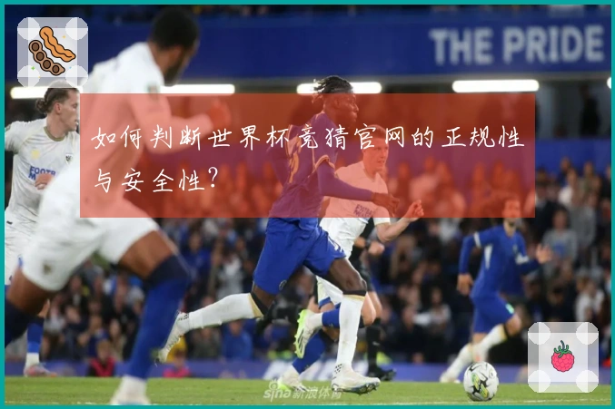 如何判断世界杯竞猜官网的正规性与安全性？
