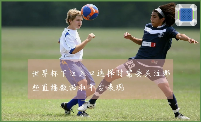 世界杯下注入口选择时需要关注哪些直播数据和平台表现