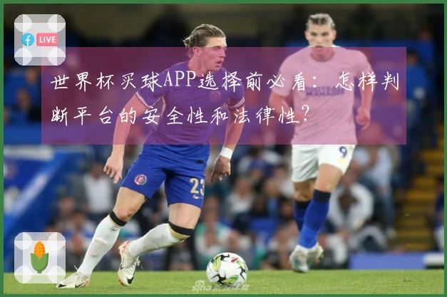 世界杯买球APP选择前必看:怎样判断平台的安全性和法律性?