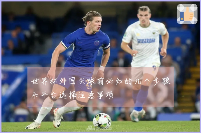 世界杯外围买球前必知的几个步骤和平台选择注意事项