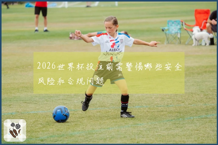 2026世界杯投注前需警惕哪些安全风险和合规问题