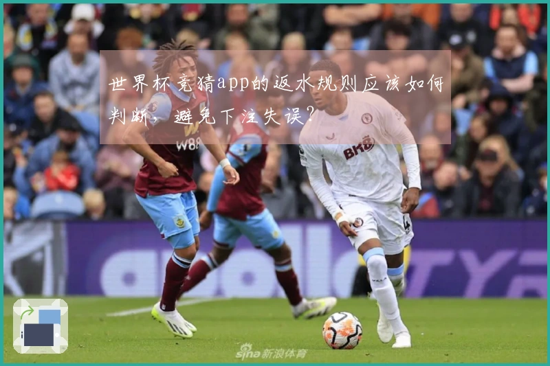 世界杯竞猜app的返水规则应该如何判断，避免下注失误？