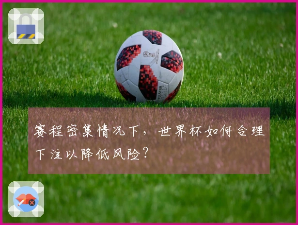 赛程密集情况下，世界杯如何合理下注以降低风险？
