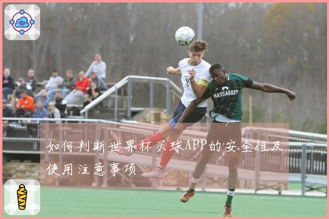 如何判断世界杯买球APP的安全性及使用注意事项