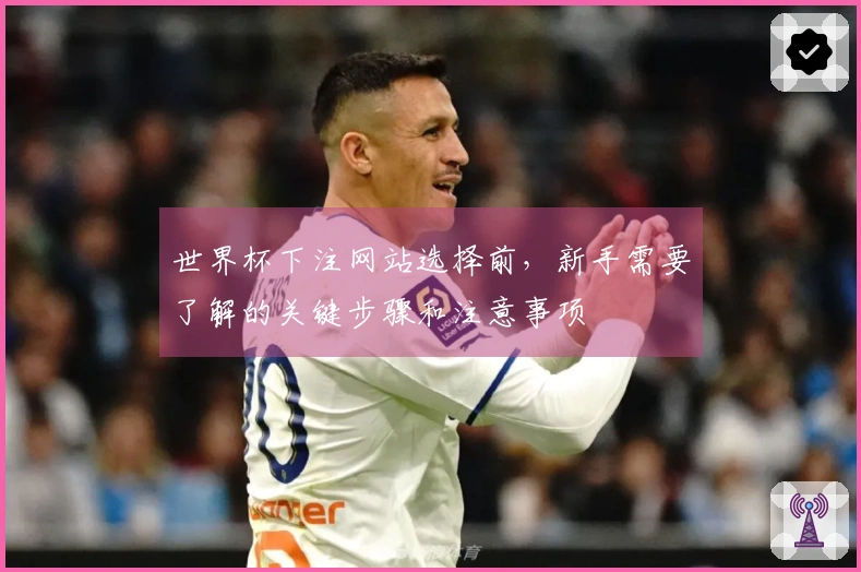 世界杯下注网站选择前,新手需要了解的关键步骤和注意事项