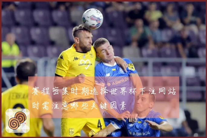 赛程密集时期选择世界杯下注网站时需注意哪些关键因素