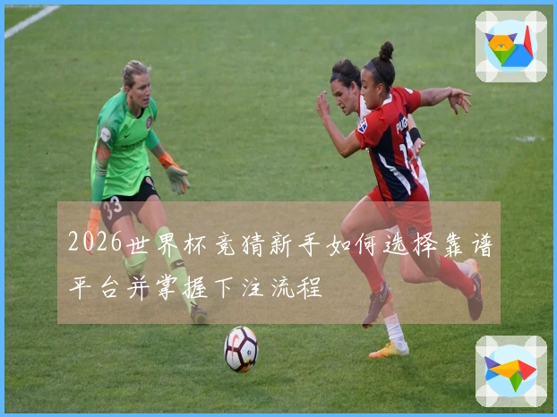 2026世界杯竞猜新手如何选择靠谱平台并掌握下注流程