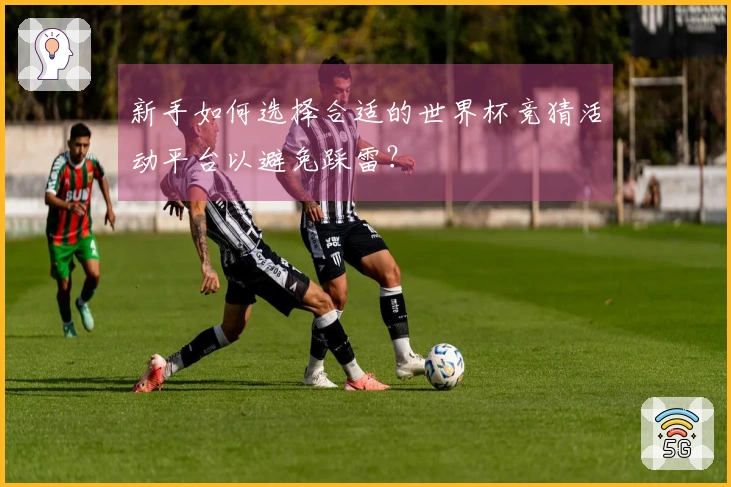 新手如何选择合适的世界杯竞猜活动平台以避免踩雷？