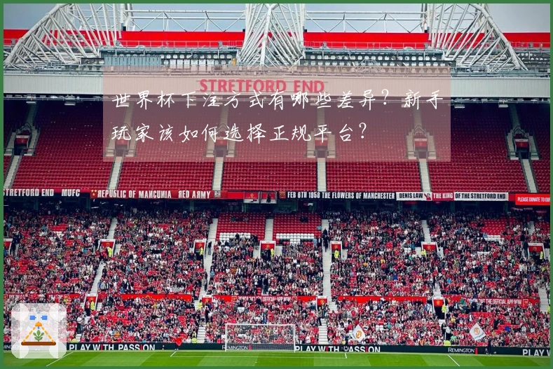 世界杯下注方式有哪些差异?新手玩家该如何选择正规平台?