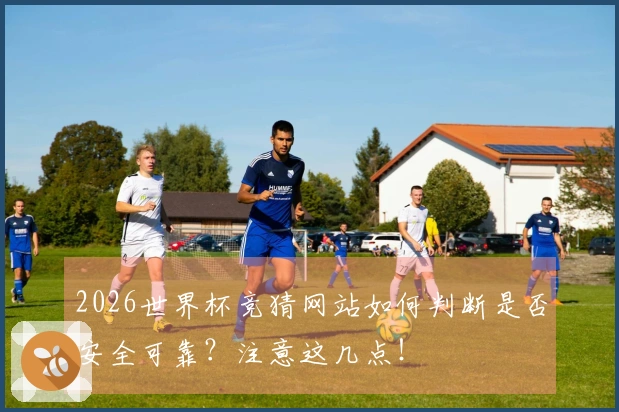 2026世界杯竞猜网站如何判断是否安全可靠？注意这几点！