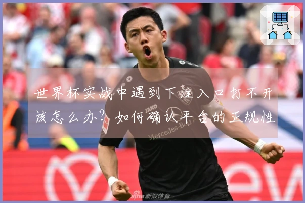 世界杯实战中遇到下注入口打不开该怎么办？如何确认平台的正规性和规则理解