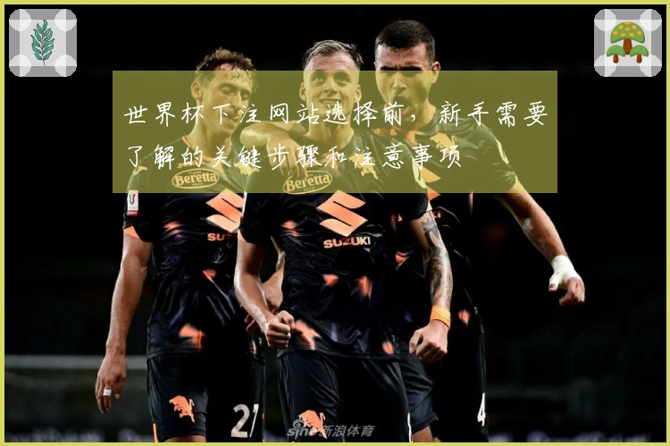 世界杯下注网站选择前，新手需要了解的关键步骤和注意事项