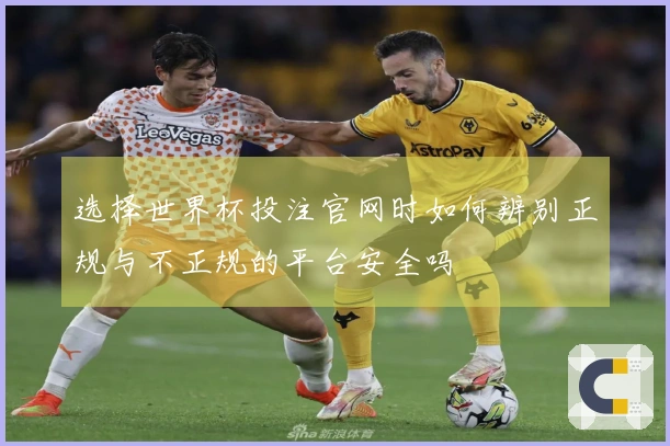 选择世界杯投注官网时如何辨别正规与不正规的平台安全吗