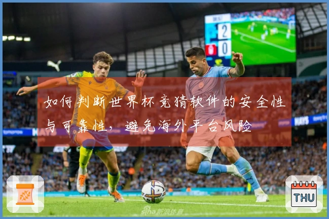 如何判断世界杯竞猜软件的安全性与可靠性，避免海外平台风险