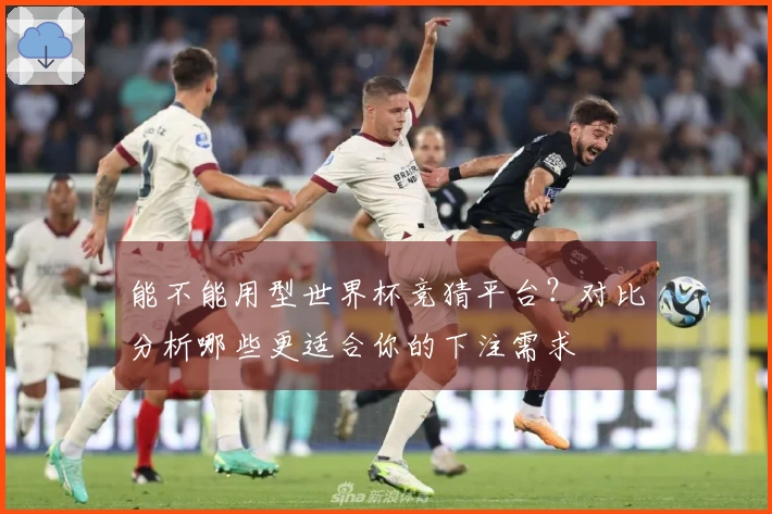 能不能用型世界杯竞猜平台?对比分析哪些更适合你的下注需求
