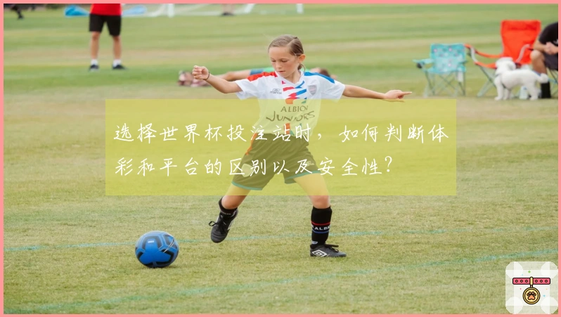 选择世界杯投注站时，如何判断体彩和平台的区别以及安全性？
