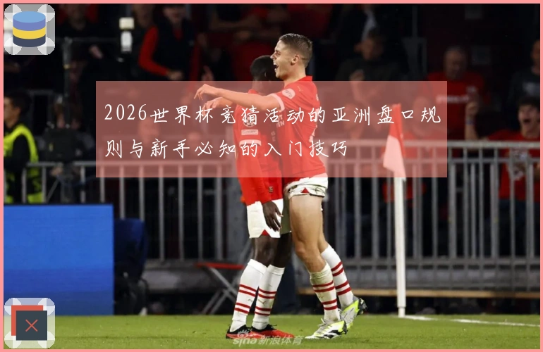 2026世界杯竞猜活动的亚洲盘口规则与新手必知的入门技巧