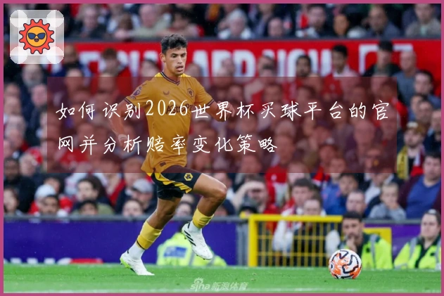 如何识别2026世界杯买球平台的官网并分析赔率变化策略
