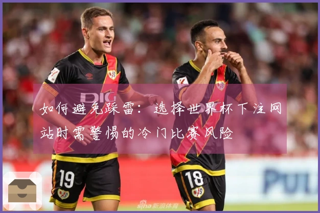 如何避免踩雷：选择世界杯下注网站时需警惕的冷门比赛风险