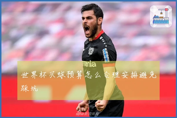 世界杯买球预算怎么合理安排避免踩坑