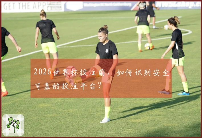 2026世界杯投注前，如何识别安全可靠的投注平台？