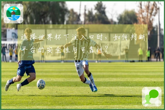 选择世界杯下注入口时,如何判断平台的安全性与可靠性?
