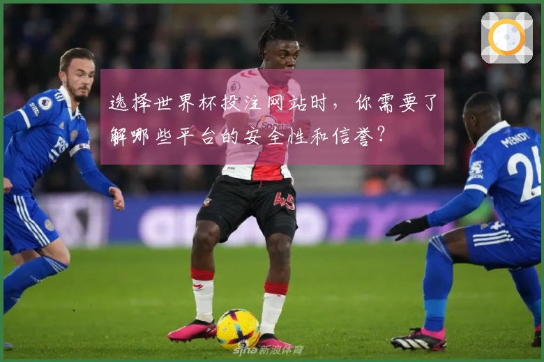 选择世界杯投注网站时，你需要了解哪些平台的安全性和信誉？