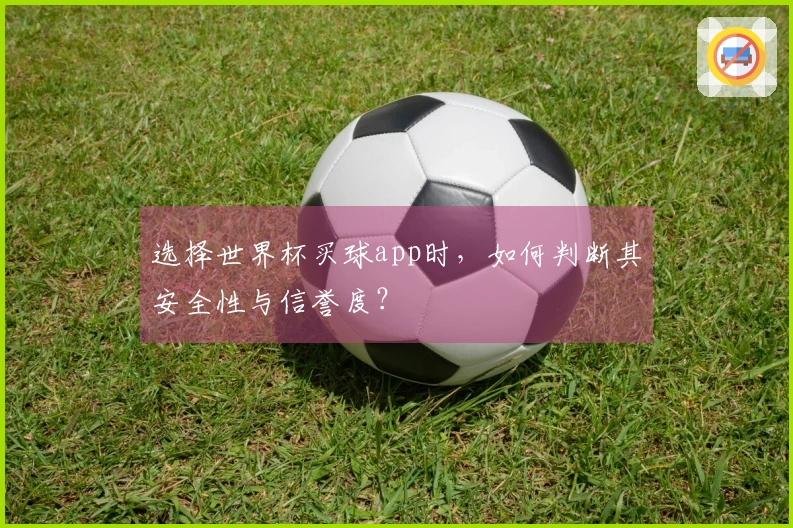 选择世界杯买球app时，如何判断其安全性与信誉度？