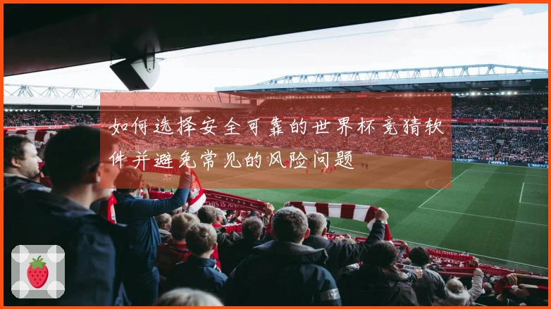 如何选择安全可靠的世界杯竞猜软件并避免常见的风险问题
